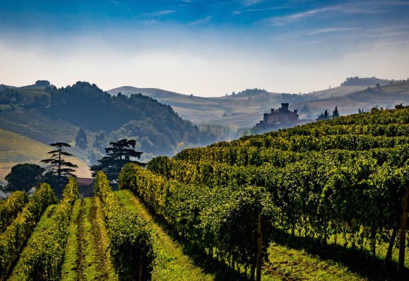 italian-wines