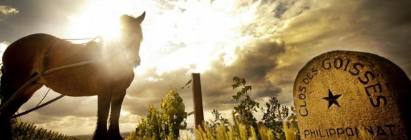 CroppedImage1170400-Champagne-Philipponnat-2