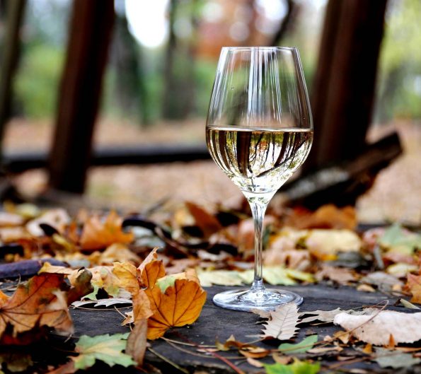 Autumn Wine Autumn Wine