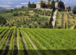 Marchesi de’ Frescobaldi