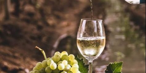Blog- What is “Fume Blanc”