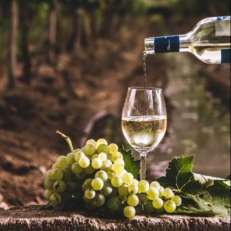 Blog- What is “Fume Blanc”